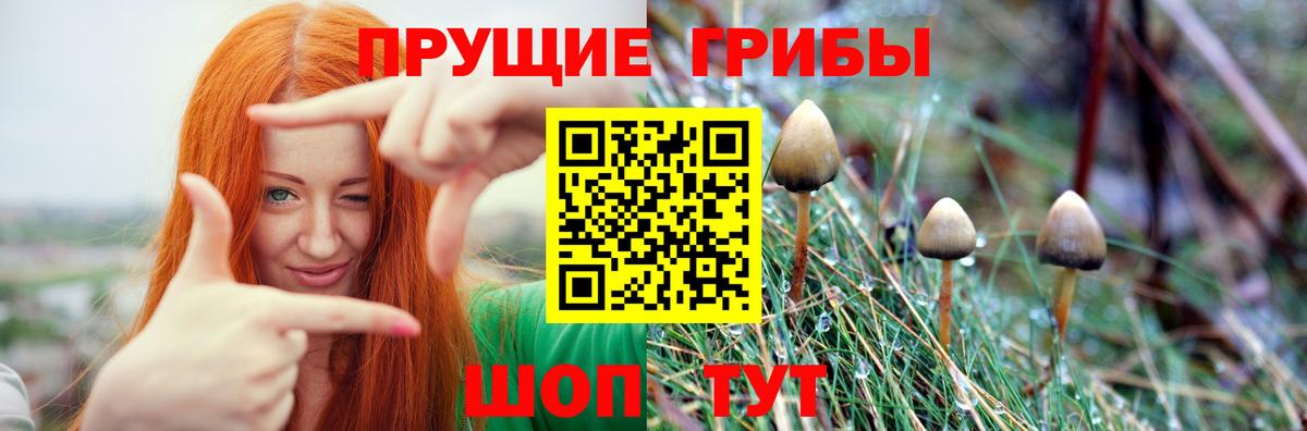закладка  Псилоцибиновые грибы мицелий  Вход с VPN  Рославль 