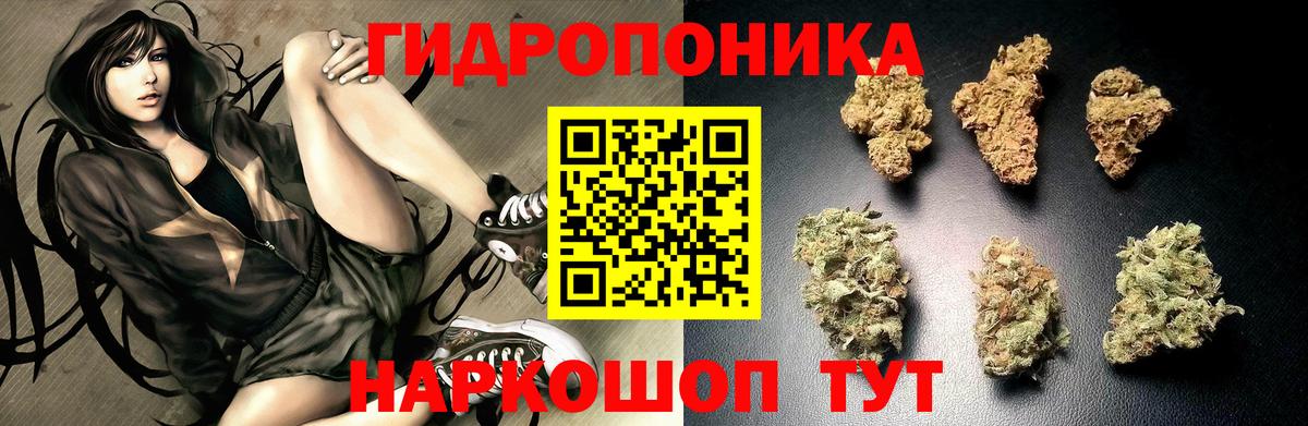 Конопля LSD WEED Рославль